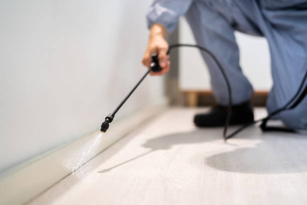 Licensed Fumigation Services service in Bowling Green, MO - Nex Pest Control