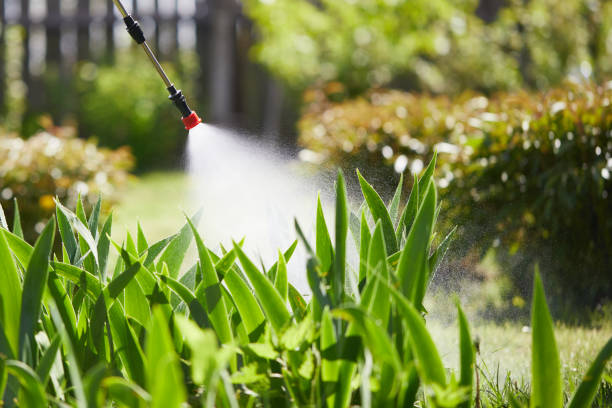 24/7 Emergency Fumigation Services experts in Bowling Green, MO